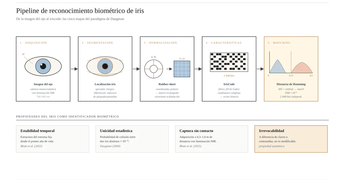 Convolutional Neural Networks