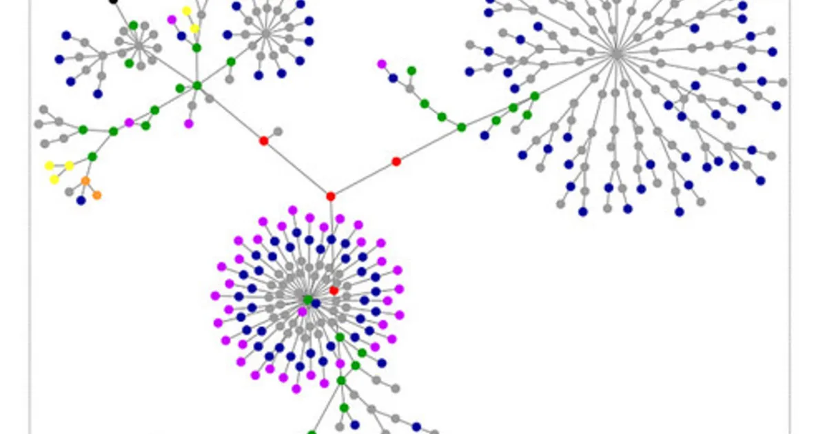 Top ML Algorithms